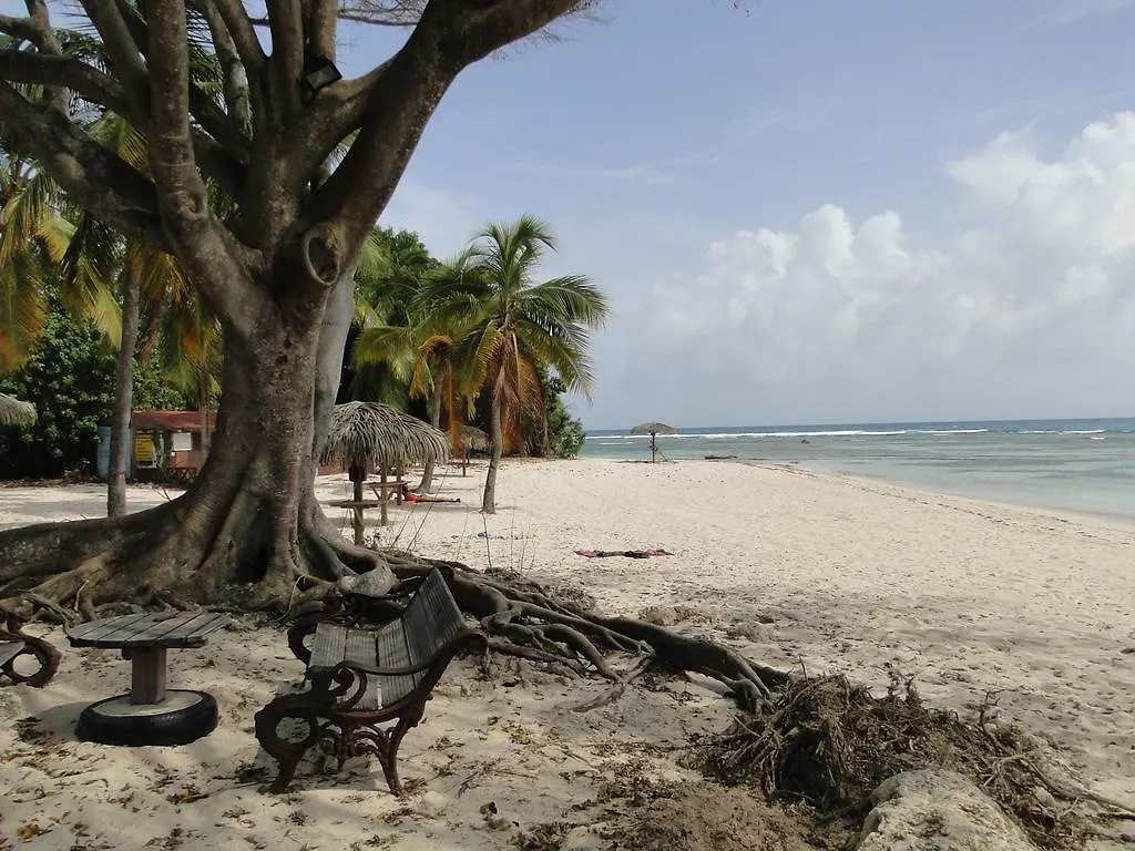 Studio Corail Rez De Jardin Saint-Francois  0*, Saint-Francois (Grande-Terre)